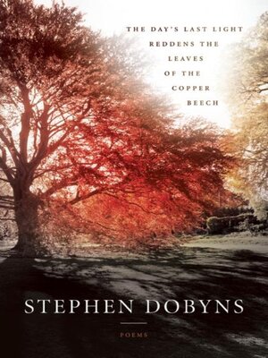 cover image of The Day's Last Light Reddens the Leaves of the Copper Beech